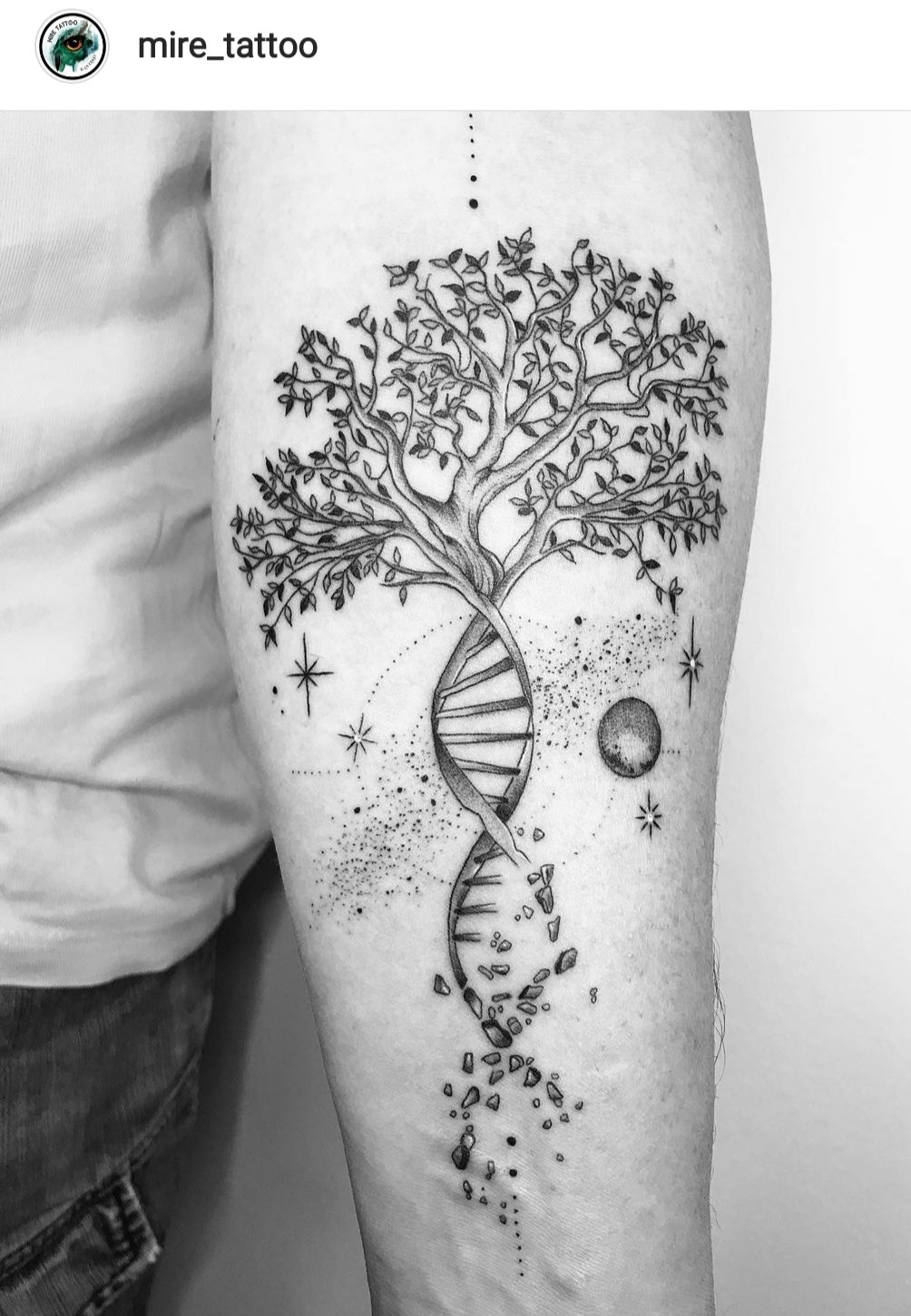mire_tattoo on X: "Árbol de la vida!#familytattoo #tattooartist #adntattoo #tatuadora #santako #santacolomadegramanet #barcelona #bcnink #bcntattoo #tattoosbarcelona #tatuajes #diseños #personalizados #mire_tattoo #árbol # vida #familia #tattoosbcn ...