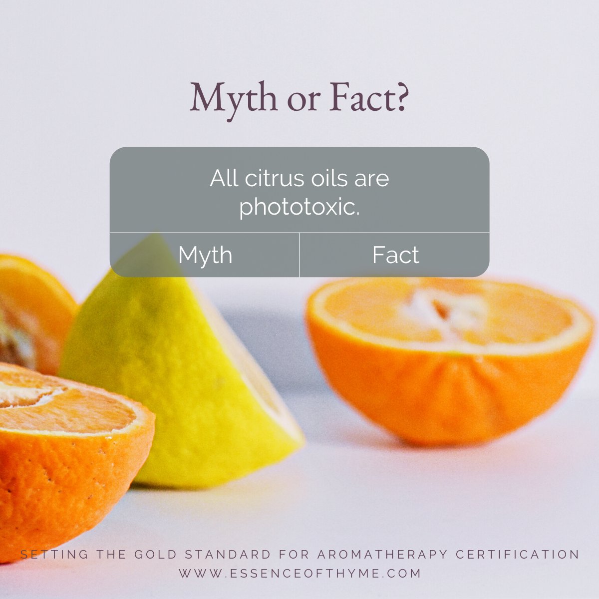 OfHolistic's tweet photo. Fact: Distillation method, usage rate, and species can all influence an essential oil's level of phototoxic risk. 

Certain expressed (did you see our recent post?) citrus oils are phototoxic, but their distilled counterparts are not, such as grapefruit or lemon. https://t.co/kub7quTU02