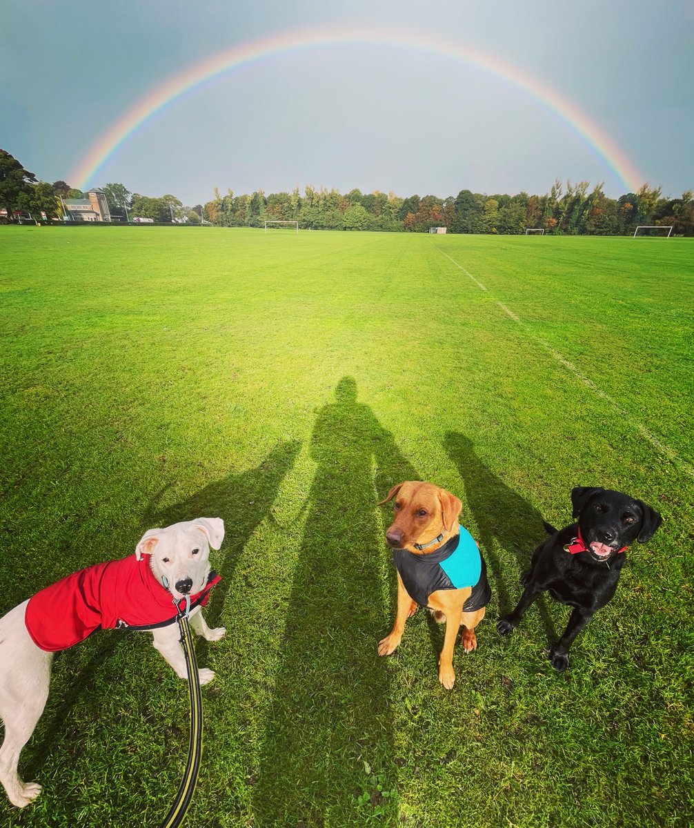WoofPlay's tweet photo. 🌈 #wetwalks #winterwalks #rainbow #walkies #woofplay #woofplaywirral #wirraldogs #dogswirral #wirraldogwalks #dogwalkerwirral #wirraldogwalker #wirraldogservices https://t.co/sw05MMmlMm