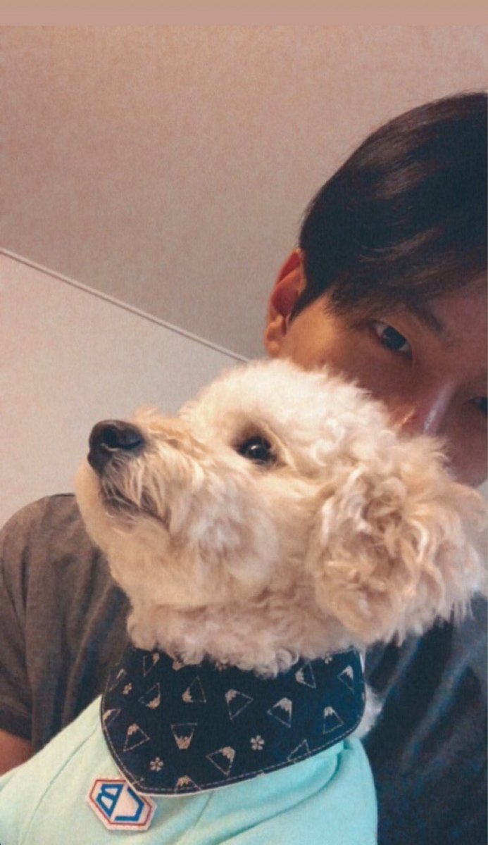 joy’s insta story 🥺🥺😭😭😭