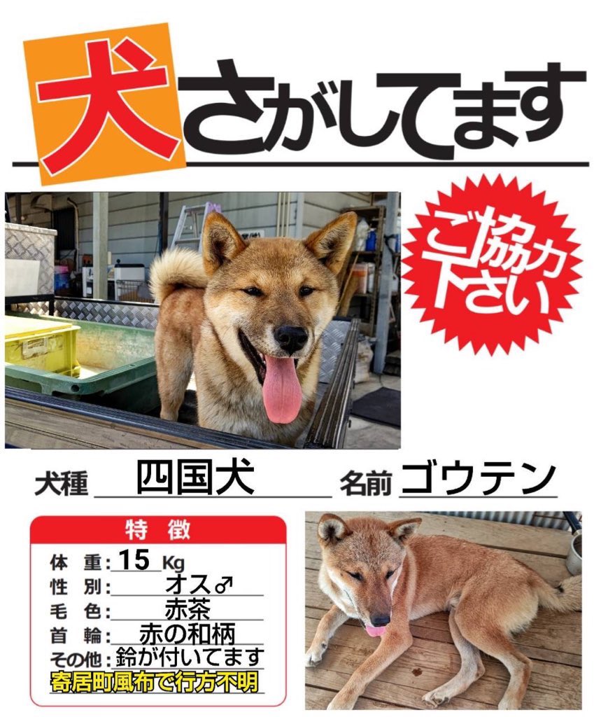 埼玉県のカレーの移動販売屋さん一覧 移動販売情報サイト いどはん情報 Net Twitterの最新情報を配信