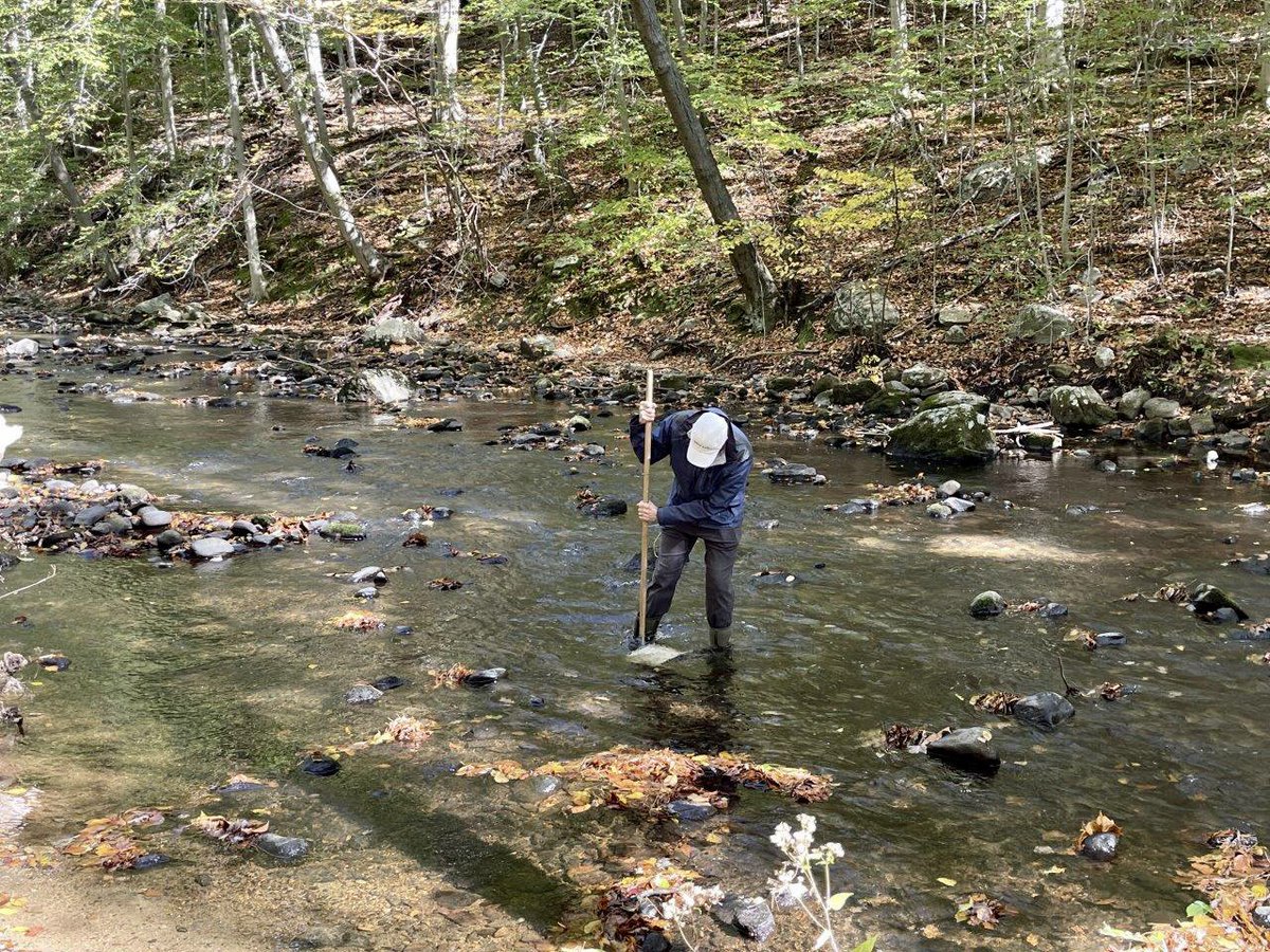 fairfieldprep's tweet image. Environmental Science class explored the Cascades in Fairfield, and evaluated freshwater stream quality through chemical, physical and biological parameters.  Teacher Bob Ford Jr. used a D-net to collect benthic invertebrates, bugs who live under the stream! #PrepSTEM #BeIgnited