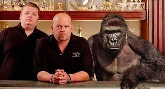 FeelFreeToSS's tweet image. 