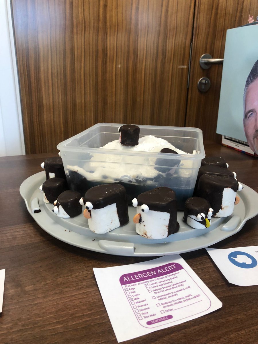 Had a great few days at the @BAS_News Student Symposium! Tried baking layer cake with fondant ships but not quite as good as @hansen_nicolaj 's penguins and Antarctic cake