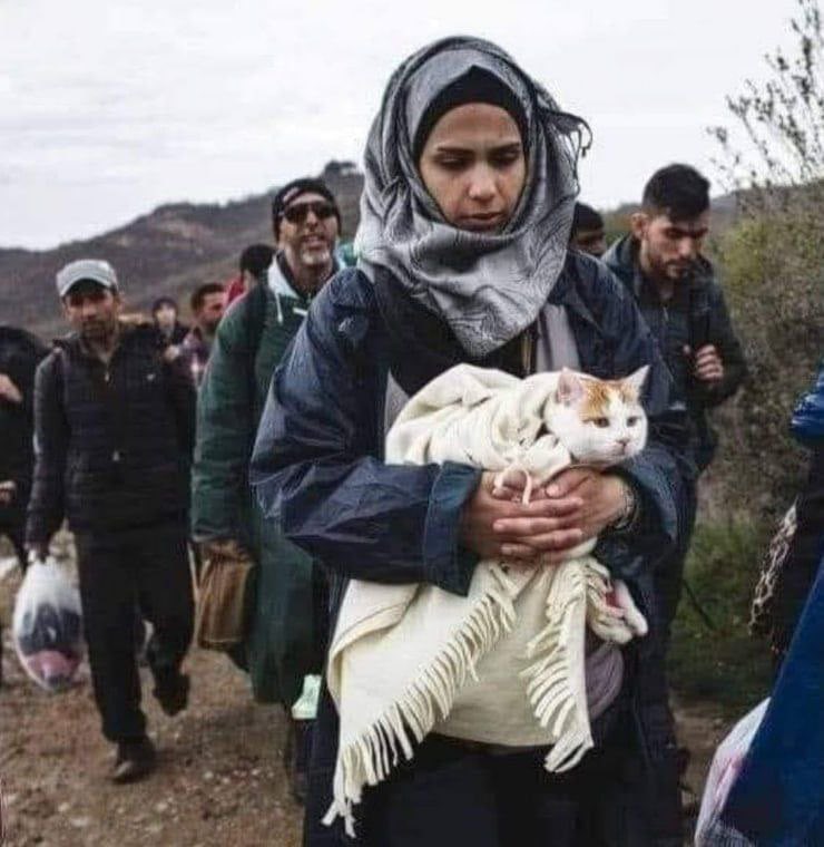 MetroSavaar tweet media