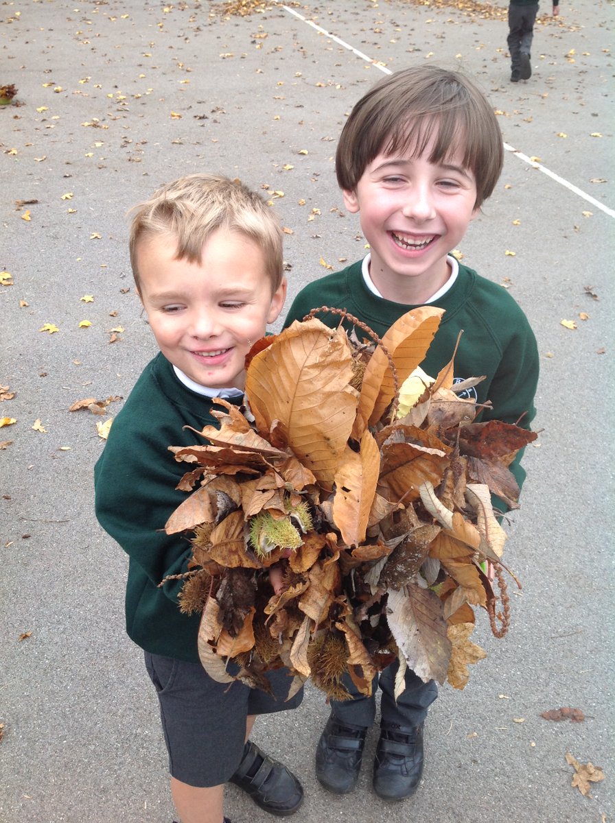 PrimaryButts's tweet photo. Year 1 had a lovely time on their nature walk this afternoon identifying the signs and colours of autumn! We even made pictures out of fallen leaves! 🍂🍃#bringinglearningalive #inhappinesswethrive #walktober https://t.co/eRvc4elXqF