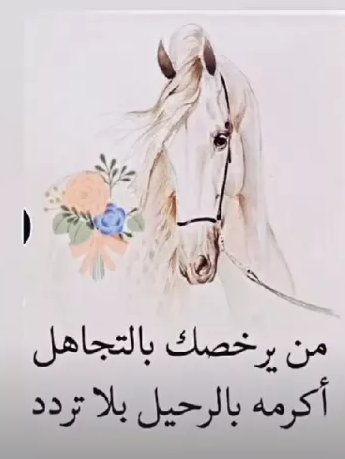 Alsbea (@alsbea1) on Twitter photo 