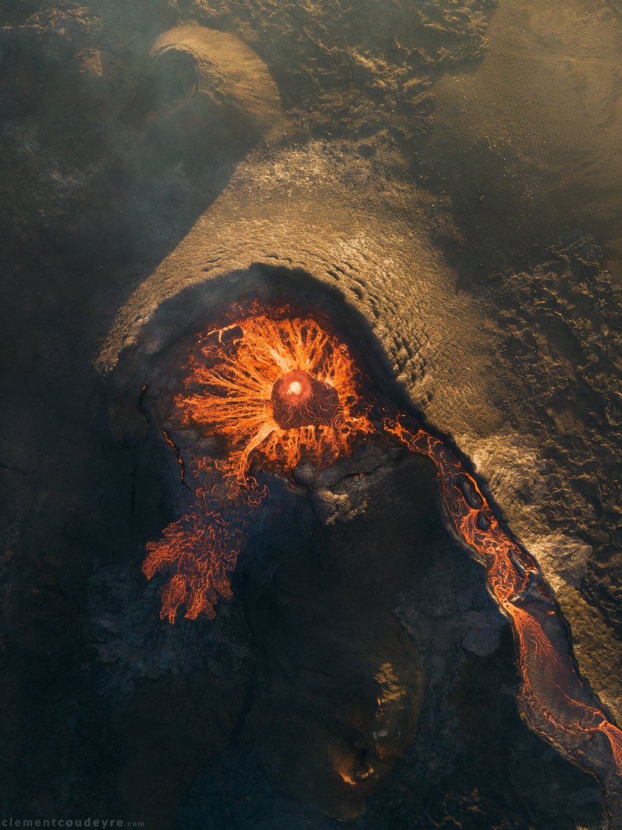 Gm or Gn?
I'm curious, what part of the globe are you living in? 🌎 🌍