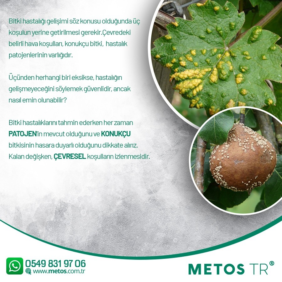 MetosTurkey's tweet photo. METOS TURKEY
Adres: İnönü Mah. Adnan Menderes Blv. No:88 K:1 D:1 Yenişehir / MERSİN
Mobil: 0549 831 97 06
Web: https://t.co/9sQ4cQu6Dp

#metos #metosturkey #metostr #agriculture #irrigation #fruit #meyve #sulama #toprak #sürdürürülebilirtarım #hasat #farming #farmer #çiftçi https://t.co/Sktu2GVfui
