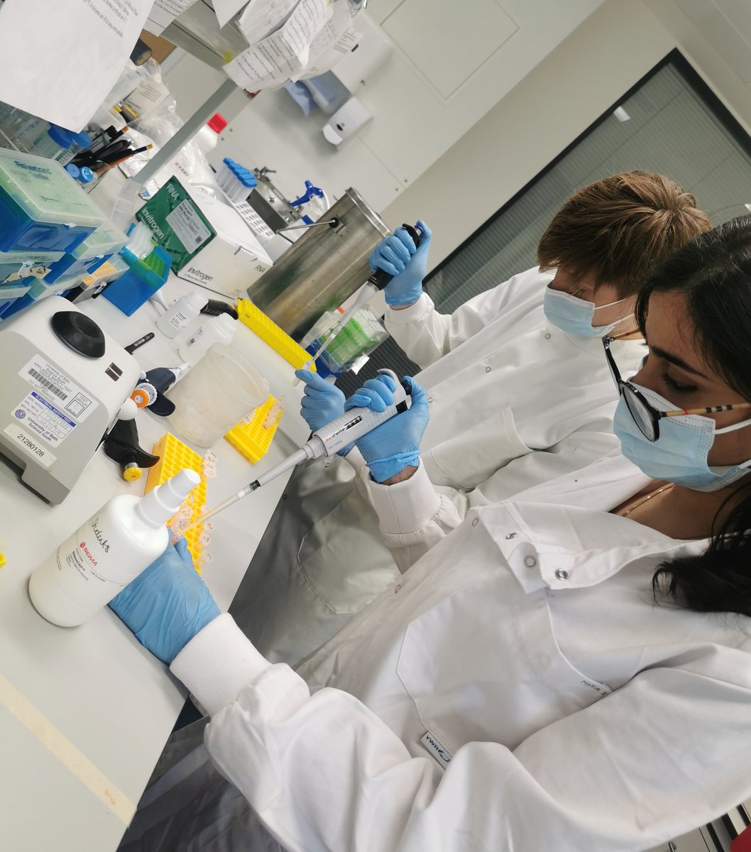 Successful week for the students, they all managed to extract RNA and at a high concentration 👏👏
