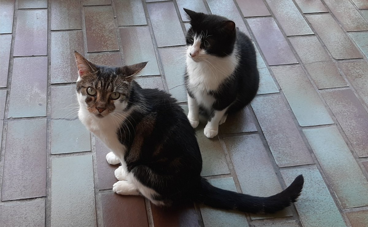 Ingrid Keuter tweet media