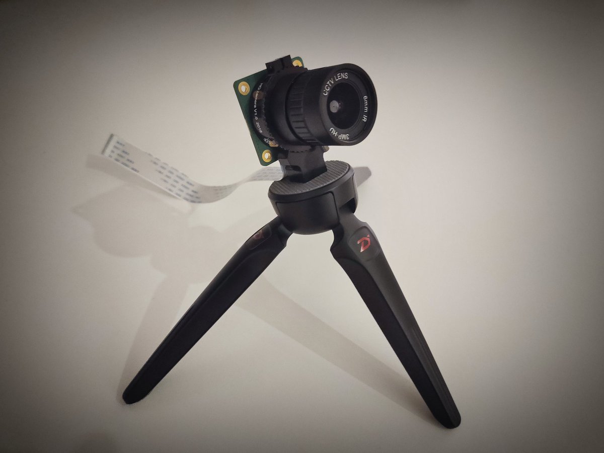 Baldurius's tweet photo. So cute!

#RaspberryPi #Camera https://t.co/qJdmbNflCs