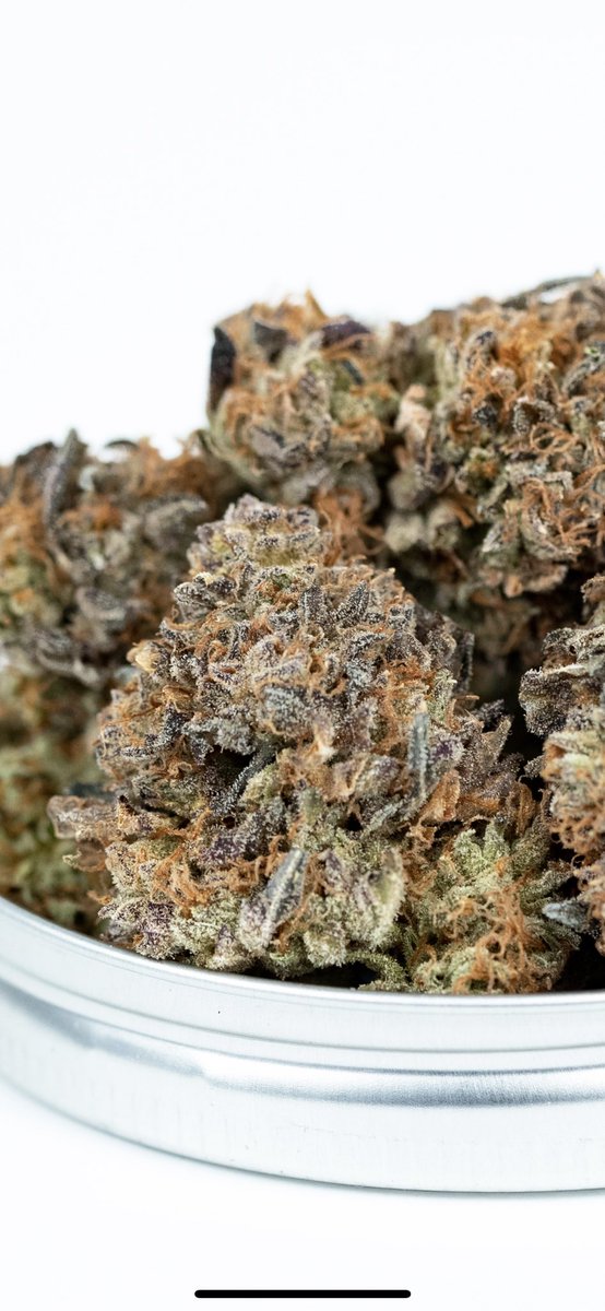 Superfarmco's tweet photo. ℂ𝕆ℕ𝔽𝕌ℂ𝕀𝕌𝕊 𝕂𝕌𝕊ℍ 🌬💨💨❤️ https://t.co/OWKeC5FsCZ