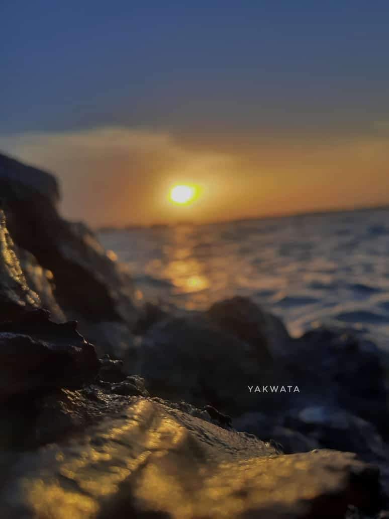 لا بلاد تُضاهي التي عشت تكبر في حضنها 
من وشمت  بالمحبه قلبك
من في تقاسيم وجهك تحملُ صُورتها
في شفاهك لكنتها  صوتها و الصدى

#الصوره من كورنيش بورتسودان
#للشرق_قضية
#العدالة_لا_تتجزأ