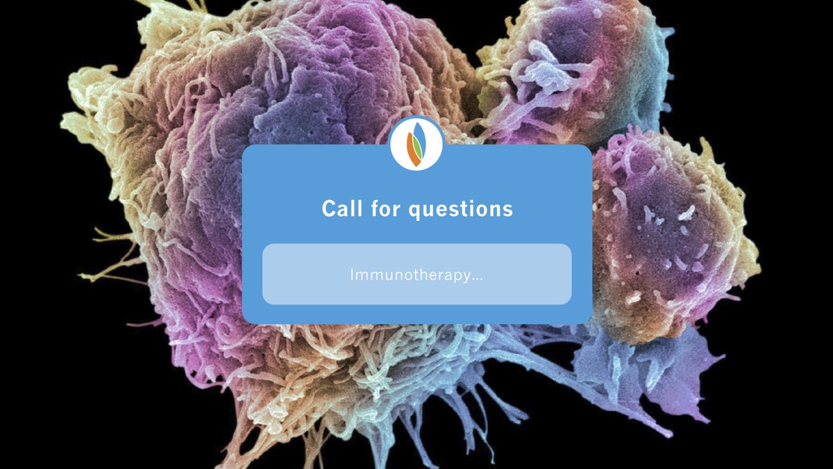 What questions you have questions about #immunotherapy? 

Comment below with any questions you have about immunotherapy in brain tumor research, and we’ll answer on Friday, November 26!

#Informedin30