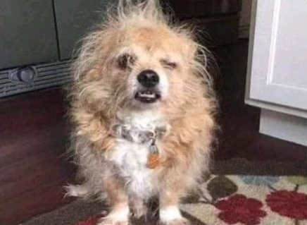 — ¿Y cómo te trata esta semana?

— Yo: