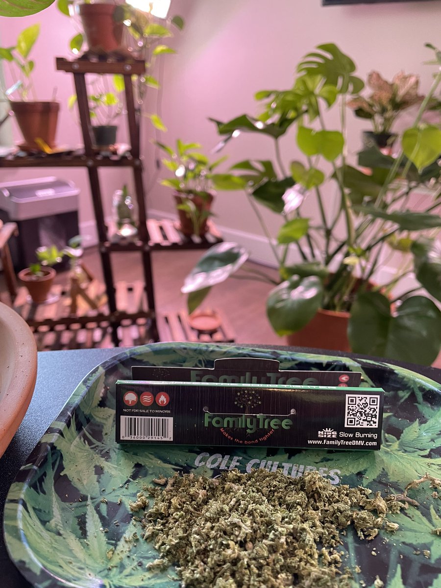 reallyblazin's tweet photo. @DmvTree https://t.co/YEGfDYDPbk