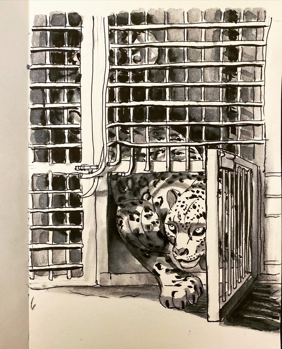 katiermine's tweet photo. Inktober day 22 - Open #inktober #inktoberday22 #inktober2021day22 #ipevo #inktober2021open #inktober2021 #inktoberopen https://t.co/4nEjqNYfEf
