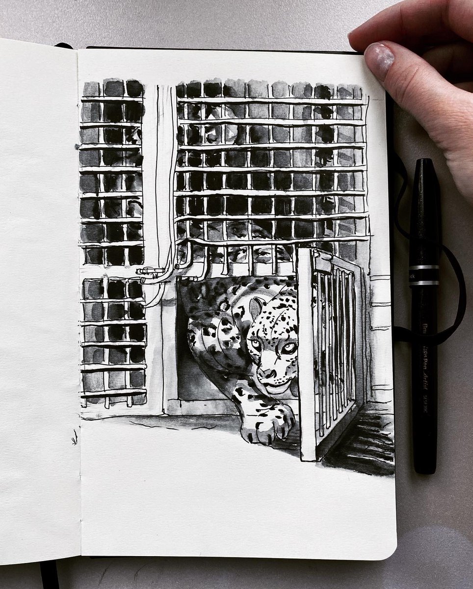 katiermine's tweet photo. Inktober day 22 - Open #inktober #inktoberday22 #inktober2021day22 #ipevo #inktober2021open #inktober2021 #inktoberopen https://t.co/4nEjqNYfEf