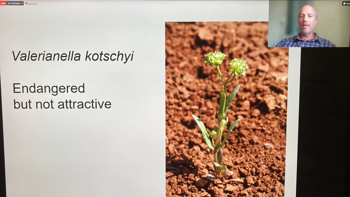 OBGHA's tweet photo. What are the challenges of #conservation? Ori Fragman-Sapir from Jerusalem Botanical Gardens gives perspective on the importance of a diverse collection for our #future. Who knows which plants might be essential to future breakthroughs? #OBGAtalks https://t.co/6ODY3ETcm7