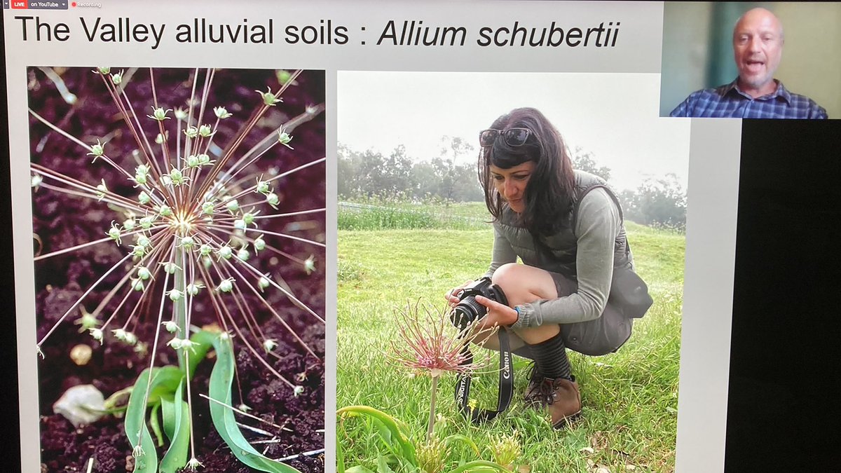 OBGHA's tweet photo. What are the challenges of #conservation? Ori Fragman-Sapir from Jerusalem Botanical Gardens gives perspective on the importance of a diverse collection for our #future. Who knows which plants might be essential to future breakthroughs? #OBGAtalks https://t.co/6ODY3ETcm7