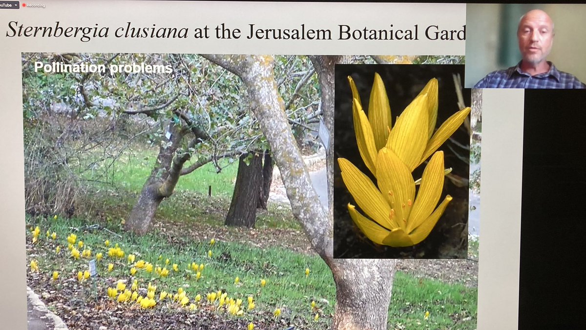 OBGHA's tweet photo. What are the challenges of #conservation? Ori Fragman-Sapir from Jerusalem Botanical Gardens gives perspective on the importance of a diverse collection for our #future. Who knows which plants might be essential to future breakthroughs? #OBGAtalks https://t.co/6ODY3ETcm7