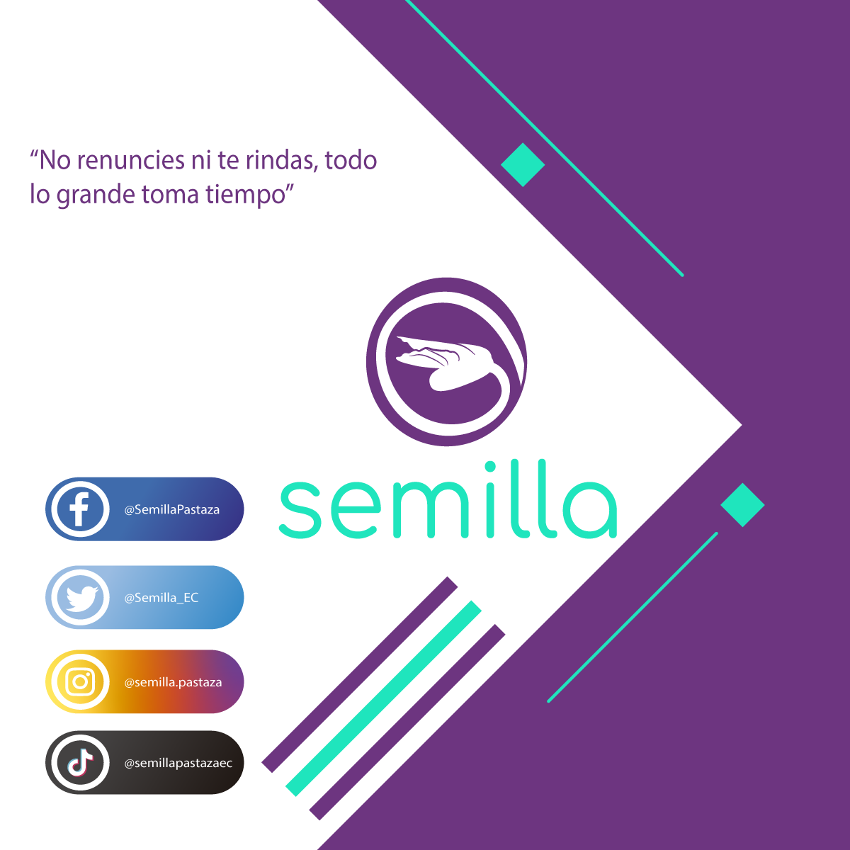 Semilla_EC's tweet photo. #SemillaPastaza
#SomosSemillaSeremosBosque
#SeguimosSembrando https://t.co/3uASu8Yu3Z