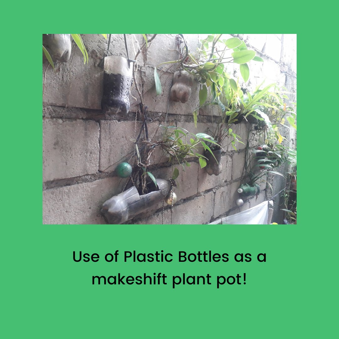 sethgabrielb's tweet photo. Day 4: Good day! Come and join me as I share my journey for our zero-waste advocacy campaign. Today I will share with you what we can do to used plastic bottles! https://t.co/8zCJ63z4iK