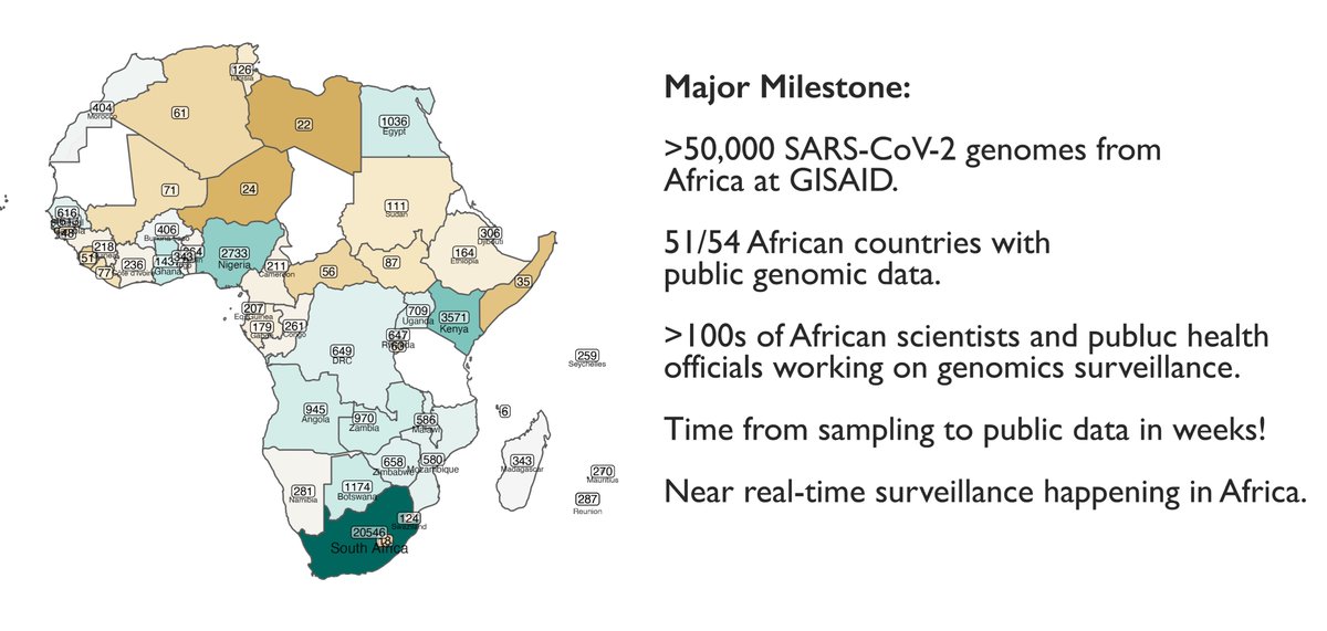 Tulio de Oliveira (@tuliodna) on Twitter photo A massive milestone for Africa today! 50,000 SARS-CoV-2 genomes <a href="/GISAID/">GISAID Initiative</a> - Closing the global blindspots with 51/54 African countries with recent data. A massive milestone for Africa today! 50,000 SARS-CoV-2 genomes <a href="/GISAID/">GISAID Initiative</a> - Closing the global blindspots with 51/54 African countries with recent data.
