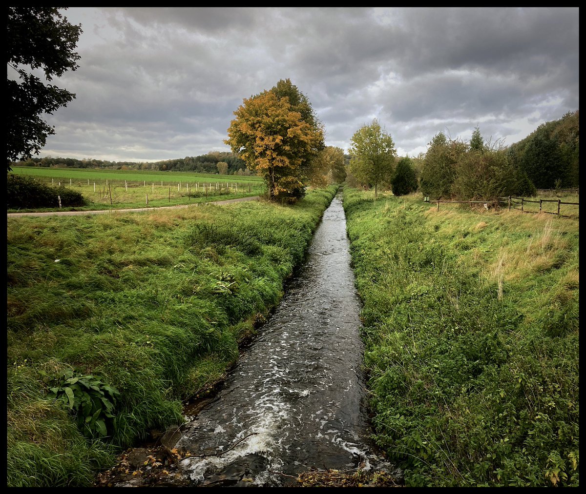 renesb's tweet photo. Nach dem #Herbst|spaziergang kann das Wochenende beginnen. #swist https://t.co/rrsQAFmjfq