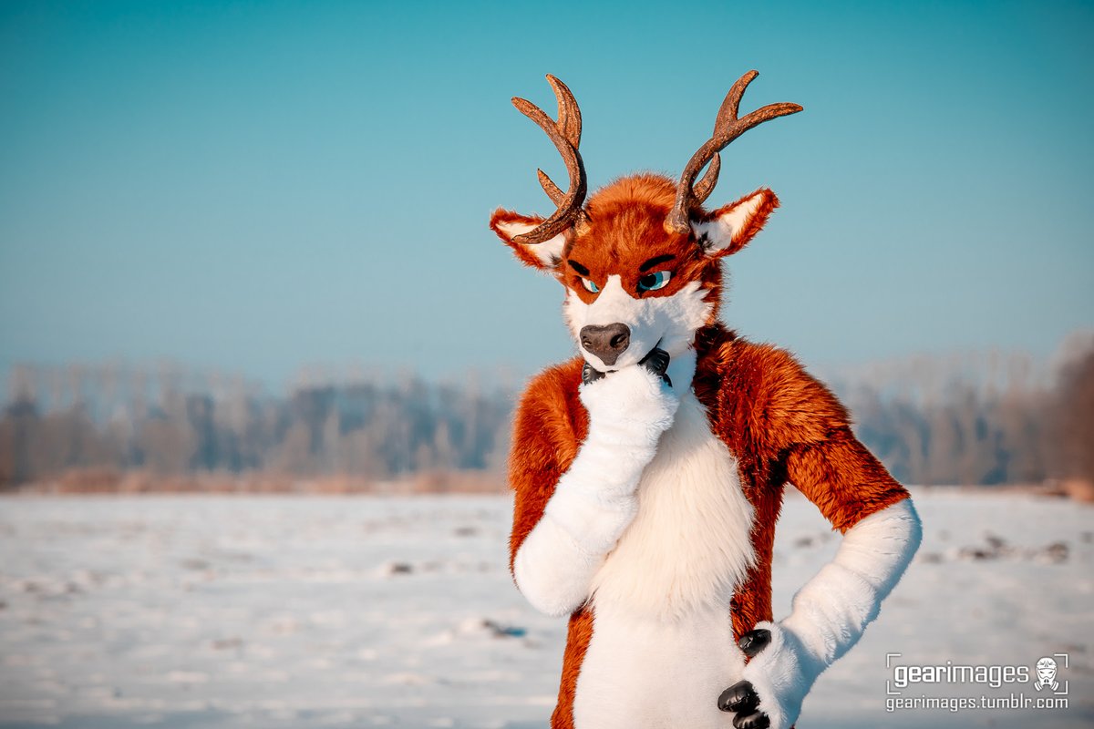 Noweti / Deerweti tweet media