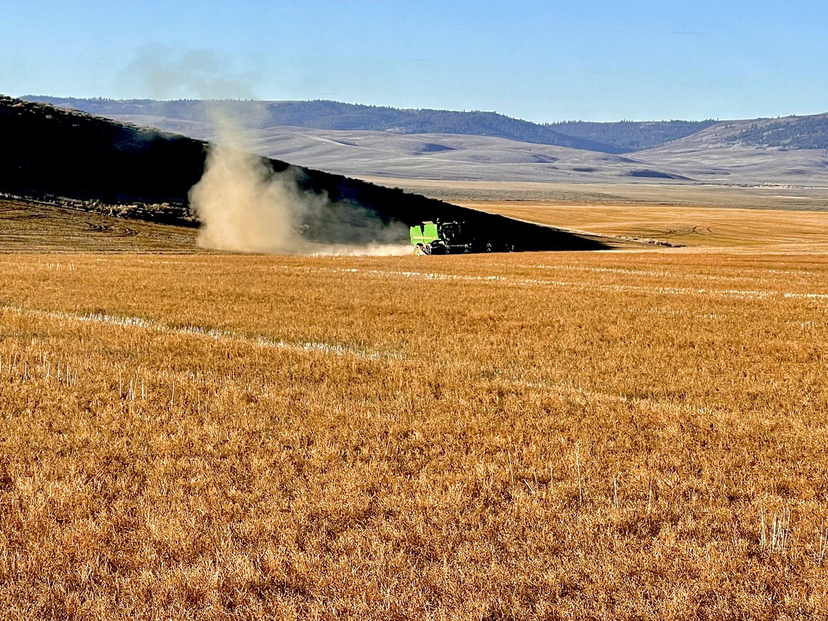 We’ve always been told we need to leave a better planet for our kids, perhaps we should have focused on leaving better kids for our planet.