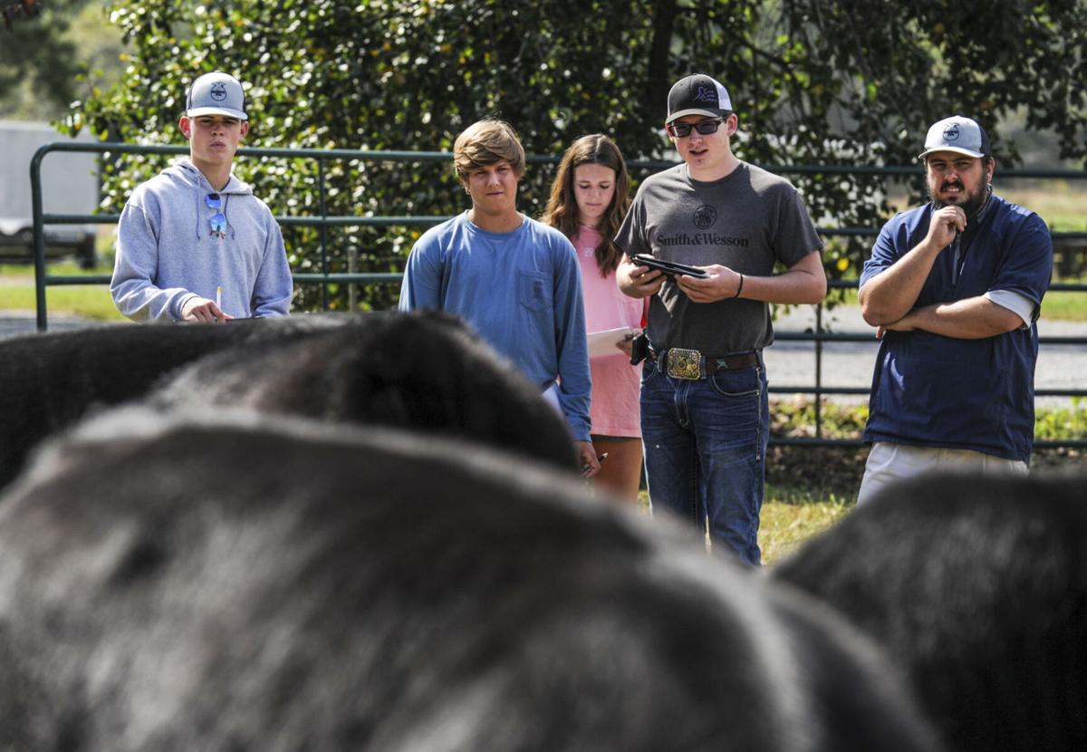 Brewer High's Future Farmers headed to national competition decaturdaily.com/news/morgan_co…