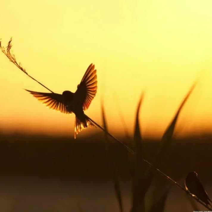 Let's make our world a better place.
Let there be a sunrise !!!!!