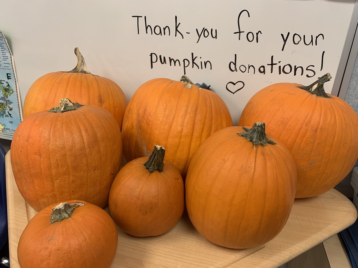 I asked, and I received…
Best parent group ever! Thank-you for your donations to our math/ pumpkin inquiry project!@EastLakeRVS