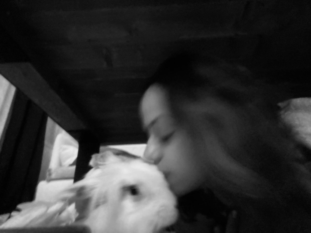 iaydaerkul tweet media