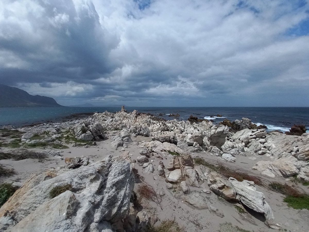 GuideBarefoot's tweet photo. Visiting the Penguin colony at Stony Point.
#CapeNature #TheBarefootGuide #Penguins #LetsGo #SAistravelready #StonyPoint #BettysBay #Wesgro #DiscoverCTWC https://t.co/gLAWlgxfjL