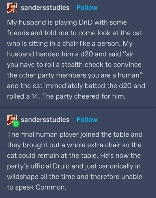 WholesomeMeme's tweet image. #DnD