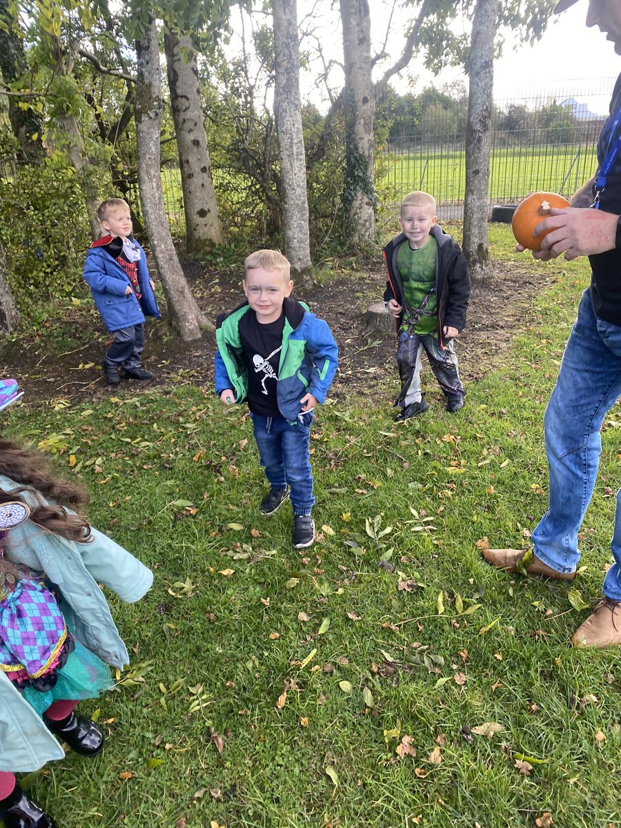 DpSfrancis's tweet photo. Wow what a fun busy day Dosbarth Roald Dahl had today😀We went on a pumpkin hunt🎃 We dressed up😀 and we did lots of spooky activities👻 Happy half term everyone🍬🎃
#healthyconfidentindividulas 🍎
@dps_waters https://t.co/RfocRCP06E