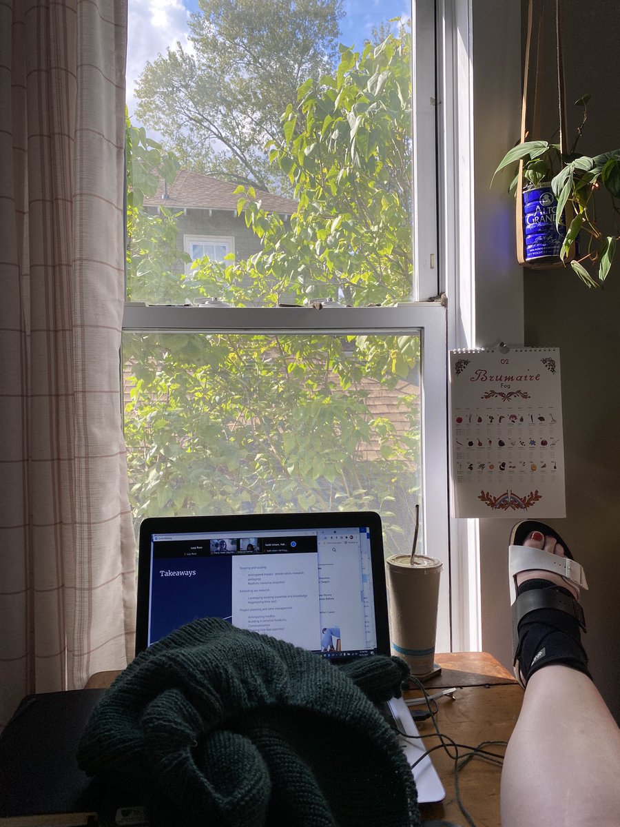 totalerquatsch's tweet photo. Quarterly virtual conference check-in with coffee, knitting, excessive note-taking, and all the RICE amenities of home for those with gossamer ankles #neafall2021 https://t.co/ugTSLMPPzM