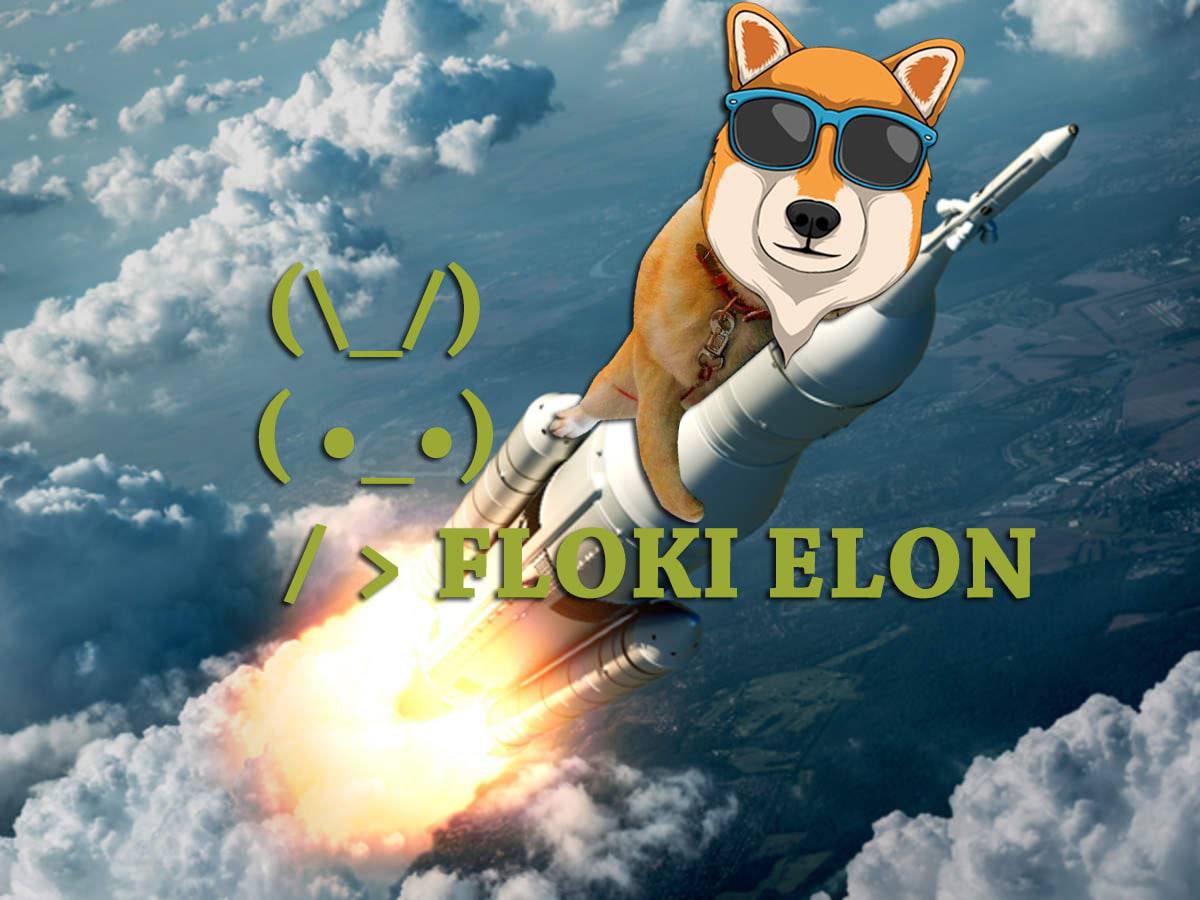 tothemoon122's tweet photo. @elonmusk @SpacePadreIsle please take me to space @elonmusk https://t.co/tFhYS6B9o4