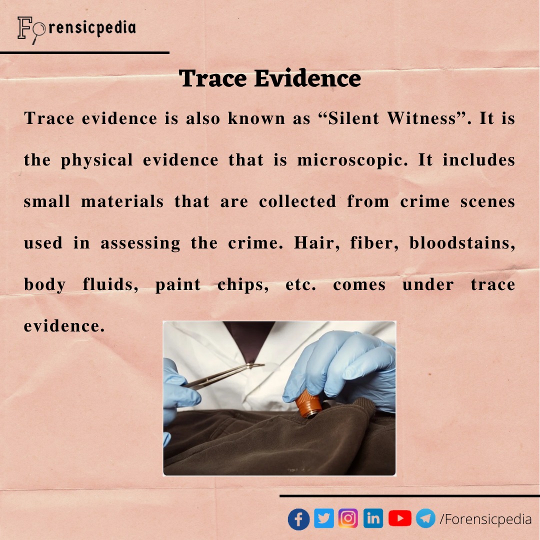 forensicpedia's tweet image. Trace Evidence
.
.
.
Written by - Hizana Farhath
.
.
.
#evidence #evidencecollection #evidenceanalysis #traceevidence #forensicscience #science #forensiccrimescenemanagement #forensicevidences