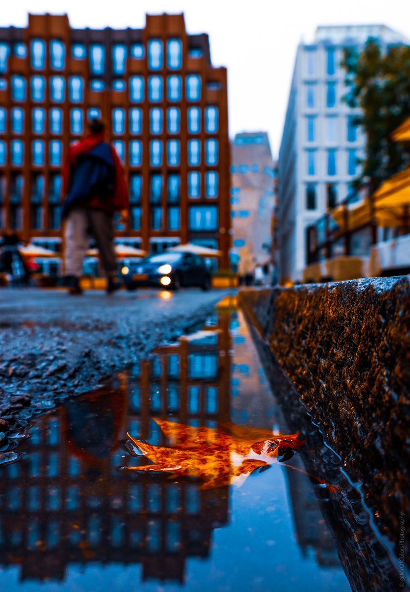 MrOfColors's tweet photo. ๐๐ฌ๏ธLight and the Leaf โ๏ธ๐๐๐ฆ๐ #Grotemarkt #Groningen โ๏ธ๐ฆ TheMarketHotel @forum_groningen #Merckt (๐ท01-10) || #ReflectionsByColors Serie ๐Be Visually Motivated๐จโ๏ธ https://t.co/4Mhx904SMV @500px #500px โก๏ธhttps://t.co/7fz0XjNRQD โฌ
๏ธ #MrOfColorsPhotography #DillenvanderMolen https://t.co/kSg8Qb3lsG