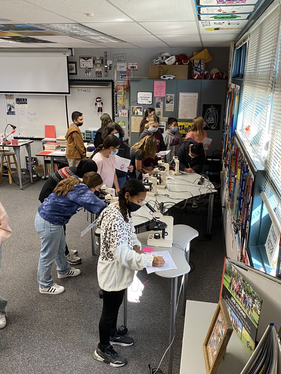 Penny Scarbrough tweet media