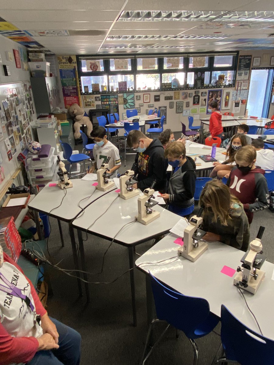 Checking out cells!  Science is good!!🔬<a href="/hillsdalepride/">Hillsdale Middle</a> <a href="/CajonValleyUSD/">CajonValleyUSD</a>