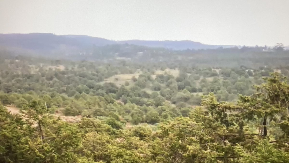 OBGHA's tweet photo. Witnessing images of Ethiopia’s from Prof Sebsebe Demissew of Gullele Botanic Garden, who has worked closely with our very own Curator, Ben Jones, of #HarcourtArboretum #OBGAtalks https://t.co/nRE1X4Hyz9