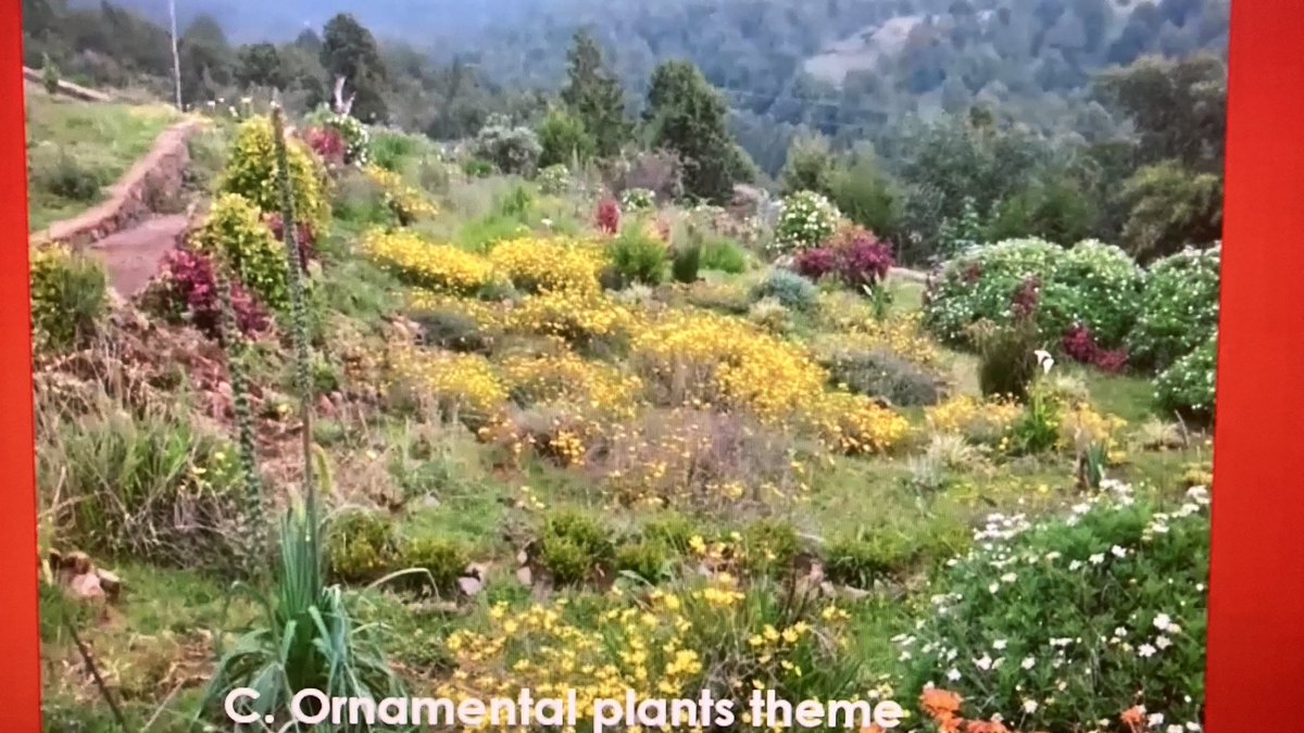 OBGHA's tweet photo. Witnessing images of Ethiopia’s from Prof Sebsebe Demissew of Gullele Botanic Garden, who has worked closely with our very own Curator, Ben Jones, of #HarcourtArboretum #OBGAtalks https://t.co/nRE1X4Hyz9