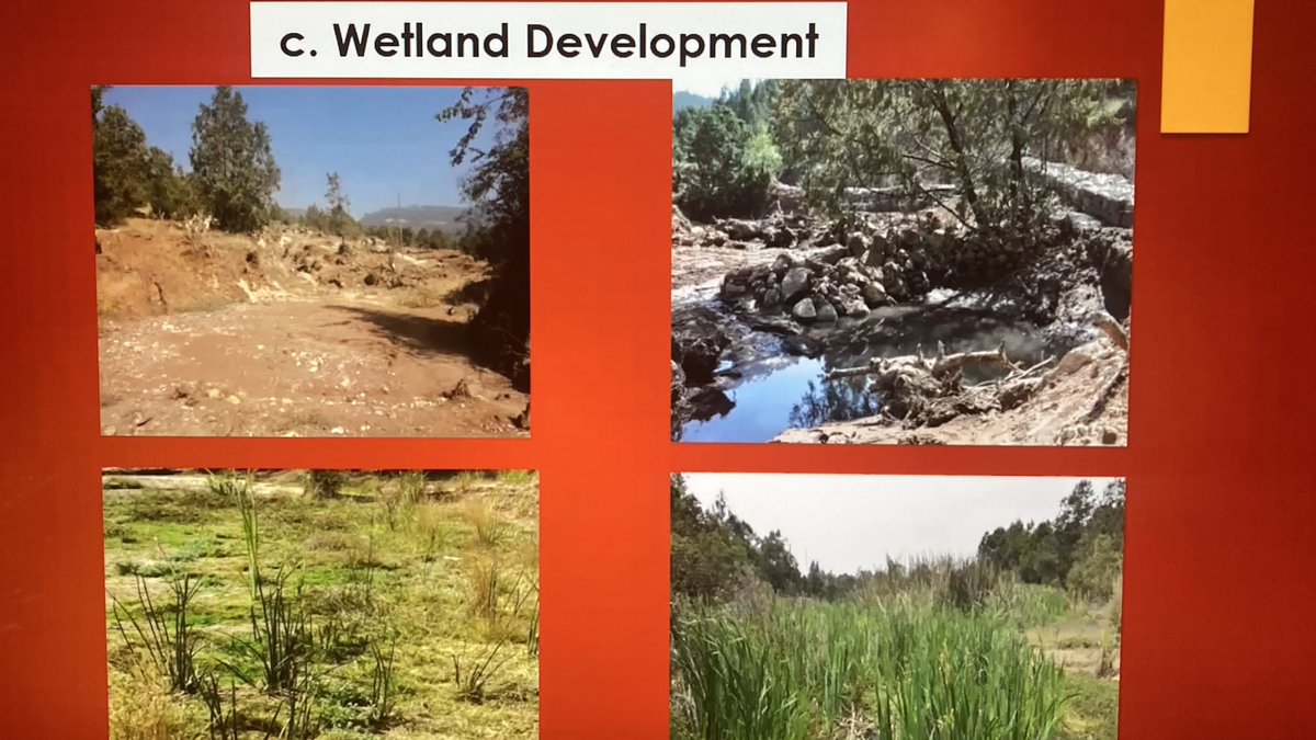 OBGHA's tweet photo. Witnessing images of Ethiopia’s from Prof Sebsebe Demissew of Gullele Botanic Garden, who has worked closely with our very own Curator, Ben Jones, of #HarcourtArboretum #OBGAtalks https://t.co/nRE1X4Hyz9