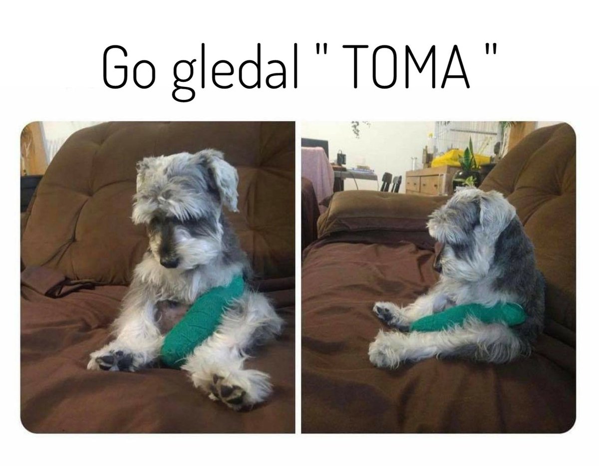 Sumar4e (@mackar0vski) on Twitter photo 