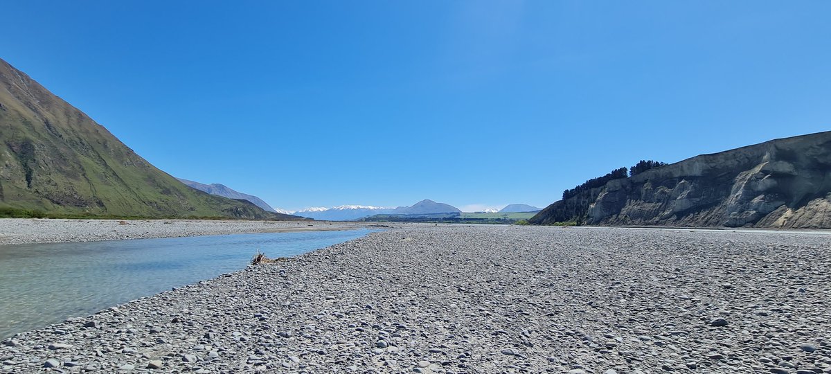 blackpetrelbiz's tweet image. Stunning first day monitoring black-fronted terns on the Rakaia River... #conservation #populationmonitoring #braidedrivers #terns